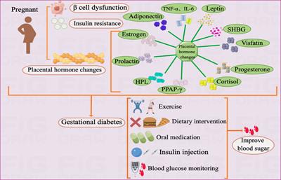 Recent progress in metabolic reprogramming in gestational diabetes mellitus: a review